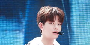 Seungmin (Stray Kids) - Net Worth, Family, Height, Dating, Bio - Kpop Wiki