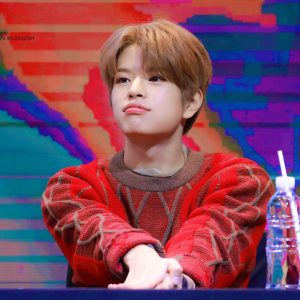 Seungmin (Stray Kids) - Net Worth, Family, Height, Dating, Bio - Kpop Wiki