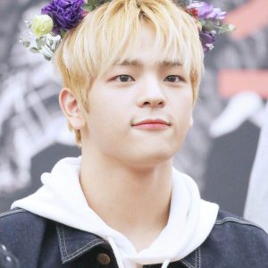 The Untold Truth About Ex Member Of Stray Kids - Woojin - Kpop Wiki